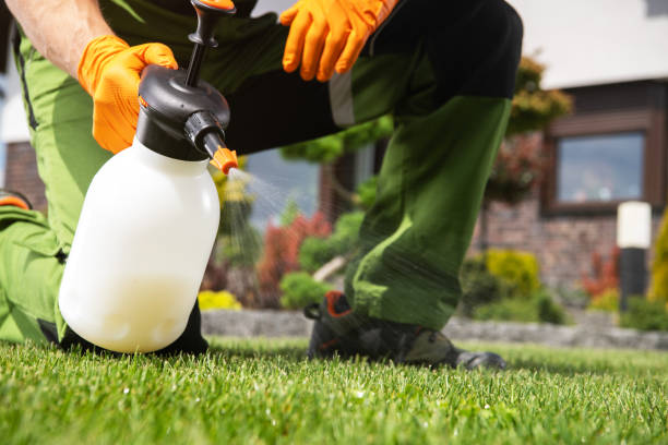 Best Pest Prevention Services  in Harvard, NE
