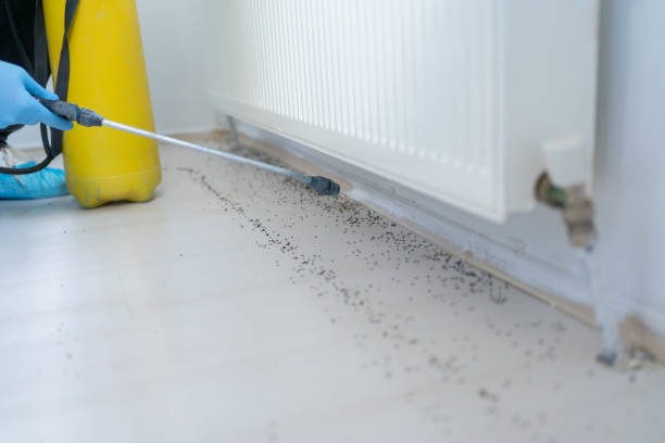 Best Mosquito Control Services  in Harvard, NE